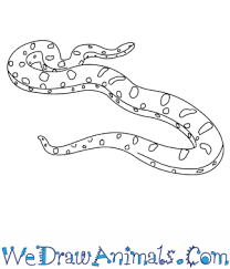 How To Draw A Yellow Anaconda The three pins are placed that determine the size of the looped string. how to draw a yellow anaconda