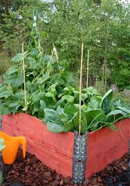 How to make minnie mouse sheet cake design:cake decorating tips and classes by rasna @ rasnabakessubscribe to our youtube channel follow the link. Kitchen Gardening Eden Gardening Kenya