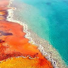 Ou Encore Turquoise Yellow And Orange Pool Orange Aesthetic Orange Decor Orange Wallpaper
