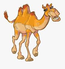 I'm canada. answered canada patiently. Animals Camel Hump Humpday Freetoedit Happy Camel Cartoon Free Transparent Clipart Clipartkey