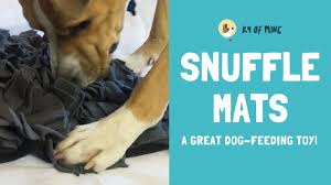 Maybe you would like to learn more about one of these? 9 Best Dog Puzzle Toys For Bored Dogs 2021 Reviews