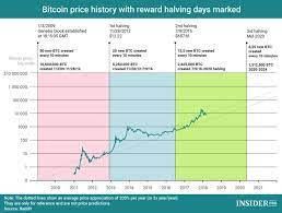 Is It Priced In Thoughts On Valuing Btc And The Upcoming Halving The Cryptocurrency Investor In 2021 Bitcoin Price Bitcoin Chart Bitcoin