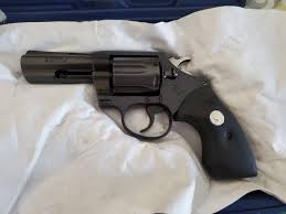 Image result for Corse Gray 1993 Colt