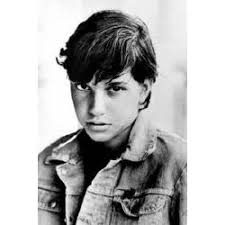 The Greaser Gang Stories