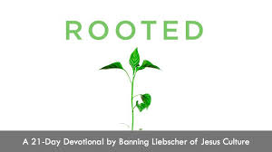 I love the devotionals that you can find at lifeway, but most of them you have to buy the book, buy the dvds, and that adds up to a tremendous bill. Rooted Devotional Reading Plan Youversion Bible