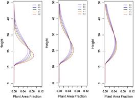 estimating forest structure in a tropical forest using field