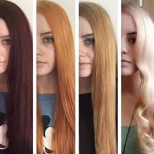 The Realistic Stages Of Lightening Hair From Dark To Light Color Correction Hair Dark To Light Hair Hair Stages