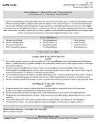 Before beginning to draft your cv/résumé, read the advert carefully so that you are clear about the specific requirements of the job you're applying for. Professional Writer And Editor Resume Example Guide