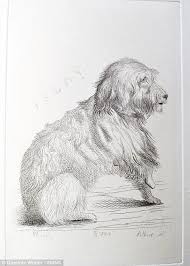 Personal Etchings Queen Victoria Didn T Want You To See Queen Victoria Queen Victoria Family Young Queen Victoria