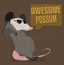 20 Best Opossum Tattoo Ideas Opossum Opossum Tattoo Possum Funny redneck possum wearing overalls and drinking beer cartoon is fantastic for beer drinkers in addition to possum designs, you can explore the marketplace for opossum, animal, and live ugly. 20 best opossum tattoo ideas opossum