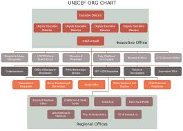 unicef org chart how does the united nations childrens