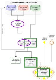 Bonner, the case's lead investigator for the wasatch county sheriff's office, chased leads. The Gencode Pseudogene Resource Genome Biology Full Text