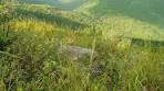 Page 2- Find St Maarten, St Martin/St Maarten Hotels ...