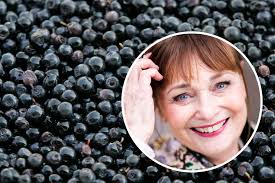 Sankarikoira Niilo pelasti miehen hukkumasta