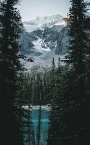 Wallpapers 10 inch tablet group 64. Samsung Galaxy Tab A 10 1 2019 Wallpapers Hd
