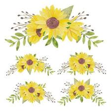 Black sunflower wallpapers and background images for all your devices. Free Sunflower Vector Art