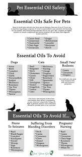 Bluehost Com Essential Oils Dogs Essential Oil Safety Essential Oils Cats