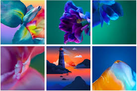 We've gathered more than 5 million images uploaded by our users and sorted them by the most popular ones. Zip Huawei P40 P40 Pro Official Wallpapers 11525x3218 Pixel