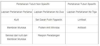 Sel b dan sel t d. 76 Soal Sistem Pertahanan Tubuh Pilihan Ganda Kunci Jawaban