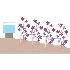 Maybe you would like to learn more about one of these? Essayez Notre Kit D Arrosage Goutte A Goutte Iriso Jardin Et Saisons
