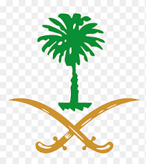 سكرابز سيفين ونخلة ذهبي