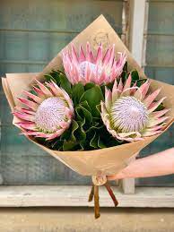 Pin By East End Flower Market On Eefm Flowers Flower Bouquet Boxes Flower Market Indoor Plant Gifts