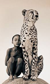 Black And White Cheetah Photography Pin On Powerful Art