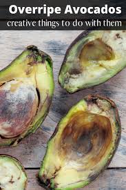 What To Do With Over Ripe Avocados Ripe Avocado Recipes Cooking Avocado Ripe Avocado