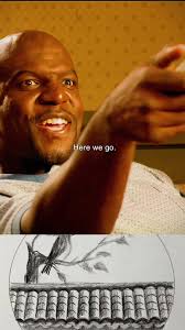 #movie #story #fyp #foryou #everybodyhateschristvshow