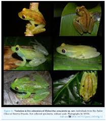 Bayron quito bayronquito perfil pinterest juegos macabros quito estos … download repelay android : Q4y Nomcamr Am