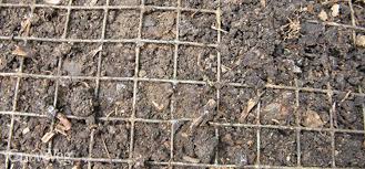 Remove all fecal matter (dogs, cats, rodents, birds) and/or food waste every day. How To Keep Rats Out Of Your Compost