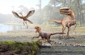 When you reache 700 points, the game begins to switch between day and night. Como Fue La Transicion De Los Dinosaurios A Las Aves El Vinculo Entre La Reduccion De Tamano Y La Evolucion A La Sangre Caliente Ladera Sur