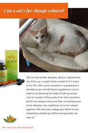 My cat is very selective with his purring. Holly The Cat And Her Allergies Have You Ever Experienced This Runny Nose Pinkish Fur Do You Think Your Cat S Fur Is Too Lig Why Do Cats Purr Cats Cat Care