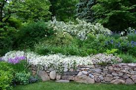 My Garden Starting Green Garden Design Stone Walls Garden Rock Wall Gardens Sloped Garden
