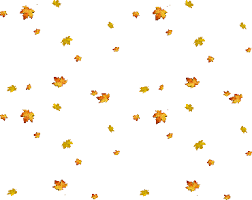 Free leaves falling icons in various ui design styles for web and mobile. Leaves Falling Transparent Gif Fall Leaves Sticker By Imoji For Ios Android Giphy Uploaded By á¥² êª€ á¥² êª€ êª— á¥² Renae Joyful Always