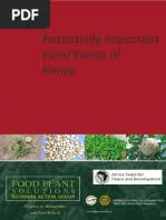 Image result for Solanum grossidentatum