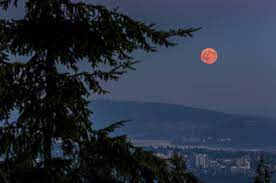 La super lune rose du 8 avril 2020 est une lune de manifestation. Uwb2g 44oawljm