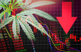 Find 84 questions and answers about working at sundial growers. Profit Trends