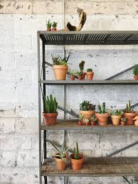 Depending on the pot size, you should water your succulents about every 2 weeks. How Much And How Often To Water Succulents Retro Den Vintage Furniture And Homewares