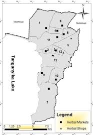 Image result for Psorospermum baumii