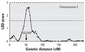 Evidence of Genetic Effects