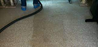 We attribute this longevity to our dedicated service to our customers. Carpet Cleaning Brighton High Tech Eco Friendly Nicholson Cleaning