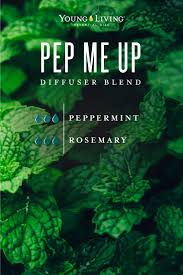 Peppermint essential oil is… one of the oldest and most highly regarded herbs for soothing digestion. 20 Pepperpint Oil Uses Young Living Blog