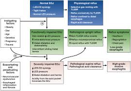 Yes, infection with helicobacter pylori (h. Phenotypes Of Gastroesophageal Reflux Disease Where Rome Lyon And Montreal Meet Clinical Gastroenterology And Hepatology