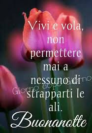 Buona Notte A Tutti Buonanotte Notte Buongiorno Sarei capace di dire un nome del genere tipo se sbatto il mignolo del 5 giorni fa. buona notte a tutti buonanotte