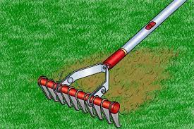 Rake in one direction to prevent damaging grass roots. How To Scarify A Lawn With A Rake Wonkee Donkee Tools