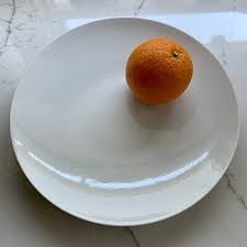 We did not find results for: Rosenthal Thomas Germany Porcelain China Dinner Plate Pattern 4755 Vintage 1950s 29 99 Picclick