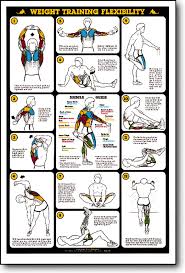 weight training flexibility fitness chart f13