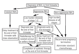 The Treatment Of Hodgkins And Non Hodgkins Lymphoma In