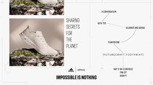 We did not find results for: Allbirds Allbirds Twitter